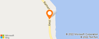 Insurance Provider - York Arthur C Insurance