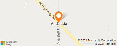 Insurance Provider - Brown Hayward Flagler Inc