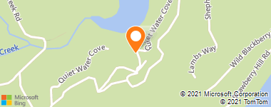 Insurance Provider - Aig