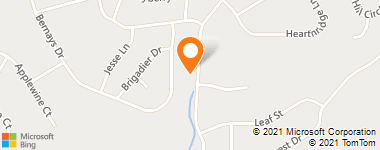 Insurance Provider - Bower Insurance Group