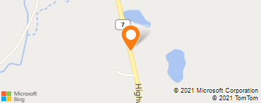 Insurance Provider - Marica Forrest - Insurance Agent